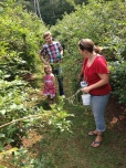 Beth (in red), Sophia (in pink) and Oleg (in Vermont Plaid) picking blueberries.